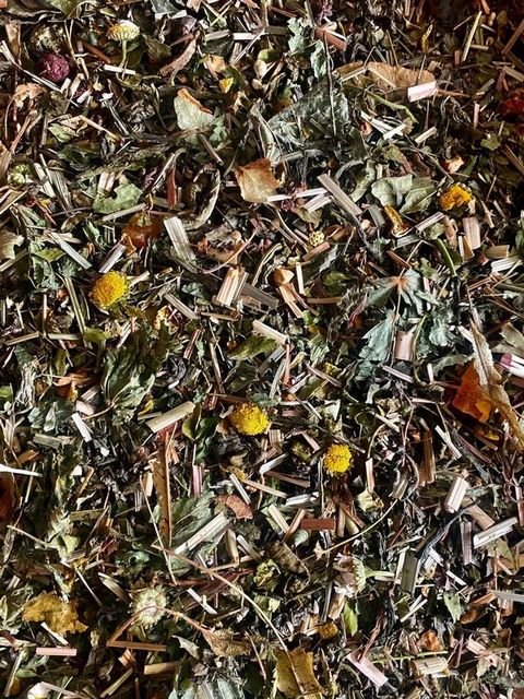 tea-yaponskaya-lipa